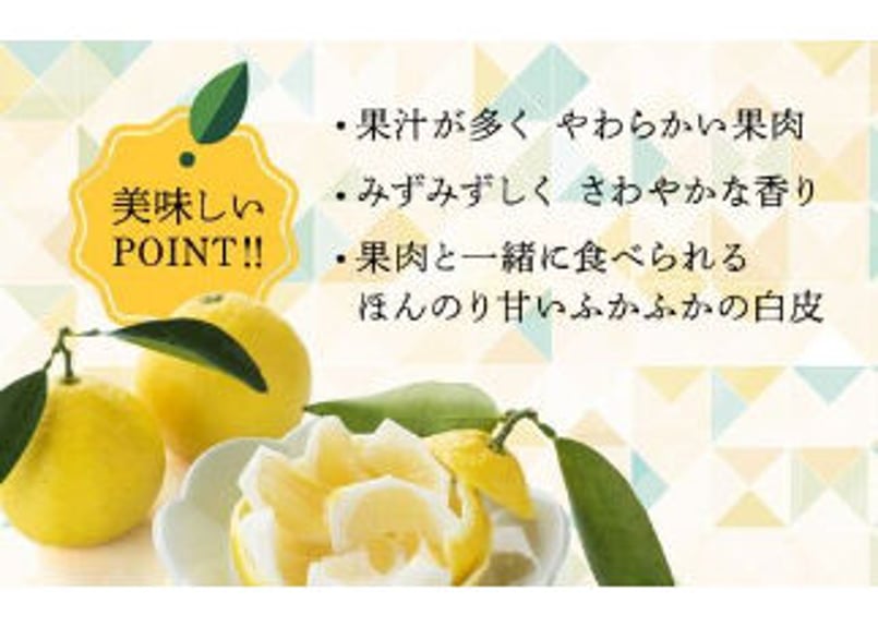 種なし日向夏 2.5K化粧箱 | JAみやざき 綾町オンラインショップ