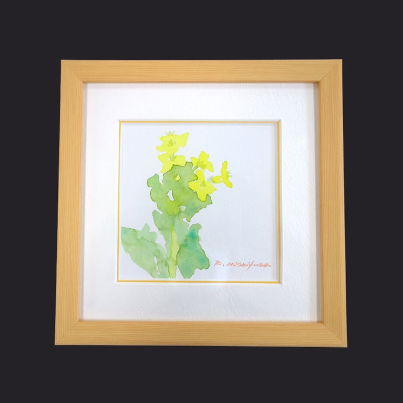西房浩二 水彩 菜の花Ⅳ | Nishifusa Works STORE