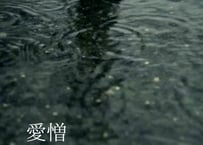 愛憎