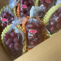クィーンニーナandクィーンルージュ家庭用