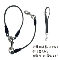 おでかけワイヤーリード