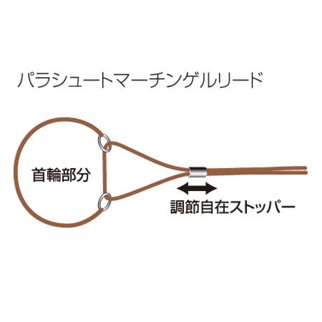 パラシュートマーチンゲルリード