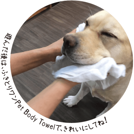 ふきとりワンボディタオル　（使い捨てウェットタオル）