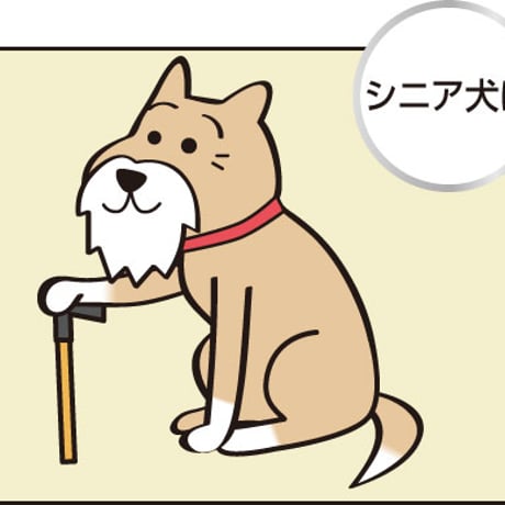 ふきとりワンボディタオル　（使い捨てウェットタオル）