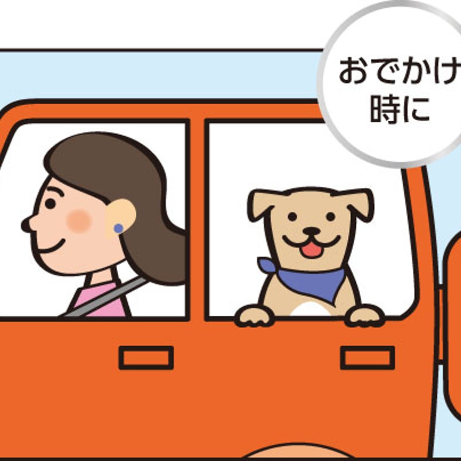 65f7e7d2ce1b81003ecca437
