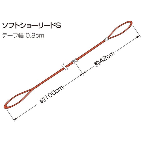 ソフトショーリードS