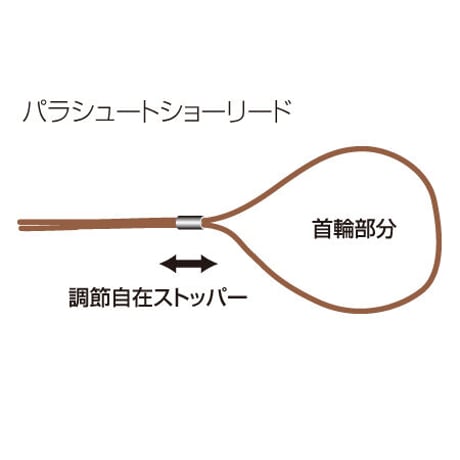 パラシュートショーリード