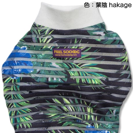 チックブラインド・コンビネゾン