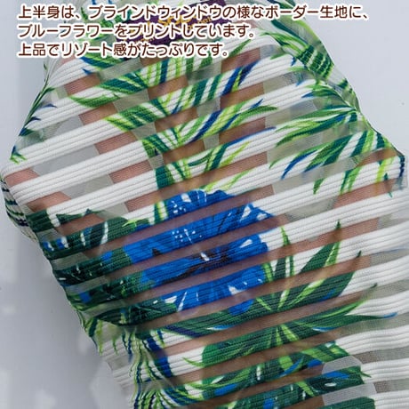 チックブラインド・コンビネゾン