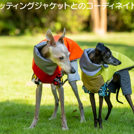 レトロパターン