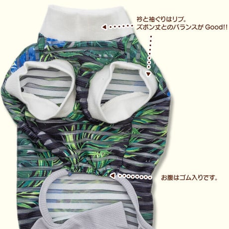 チックブラインド・コンビネゾン