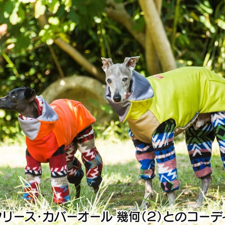 ライトパッティングジャケット