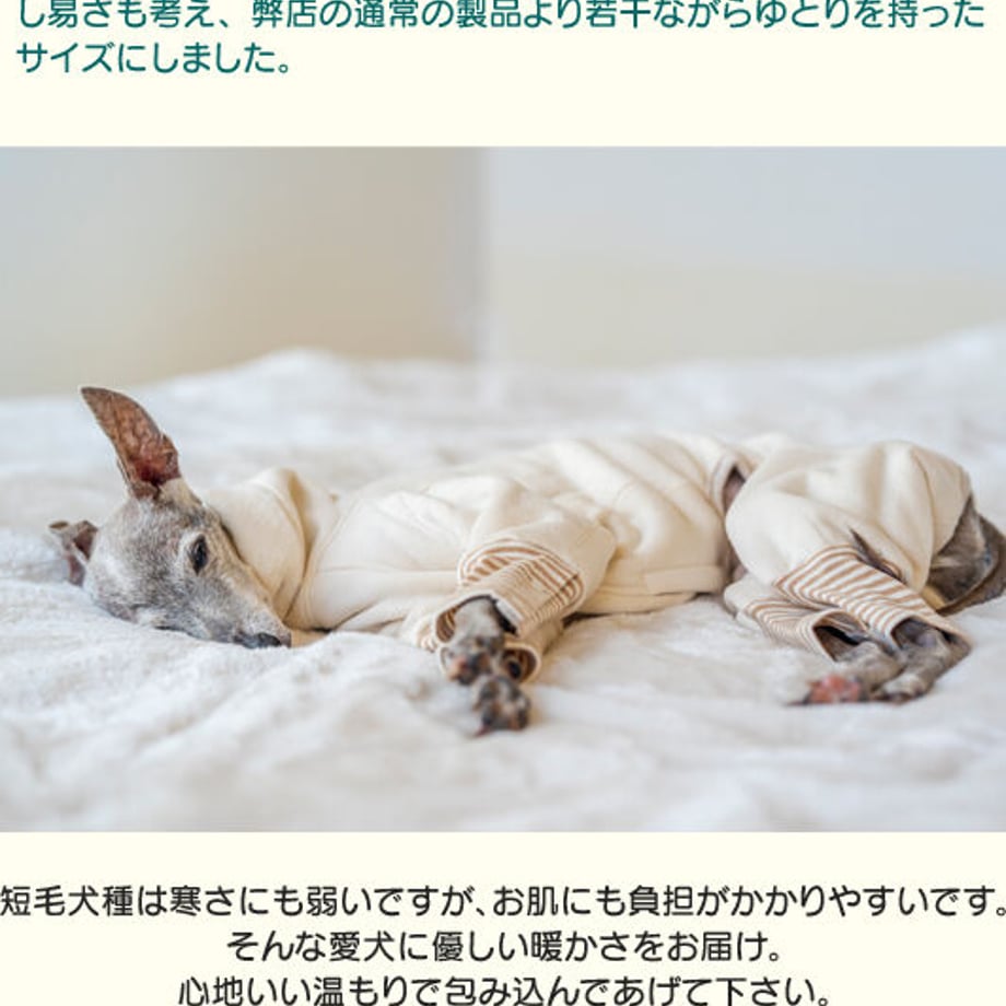 631a6fb62e74525e014eba48