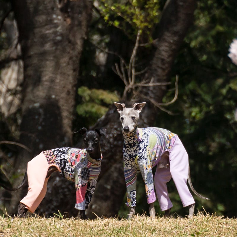 カバーオール華いかだ | FEEL SO DOOG（フィール・ソー・ドッグ）