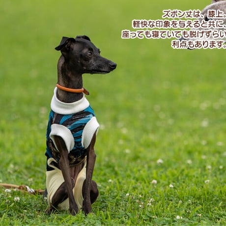スリティーナッティー・コンビネゾン