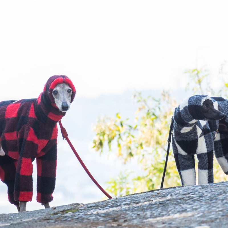 SEQUEL ブロックチェック　カバーオール　M M&M 新作販売告知 / ワークスタイルには欠かせないデニム