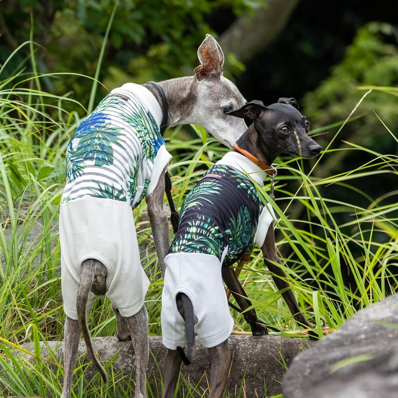 チックブラインド・コンビネゾン | FEEL SO DOOG（フィール