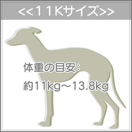 １１Ｋサイズについて