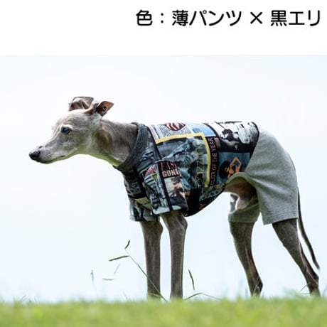 ファッションストリート