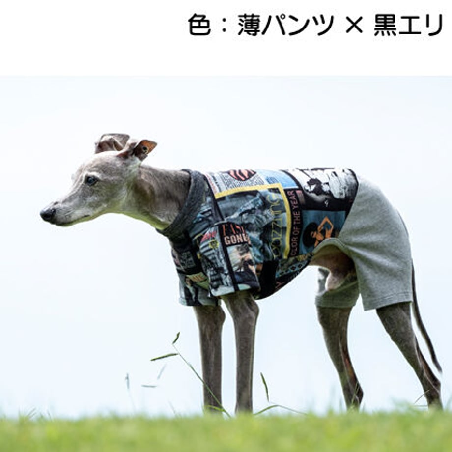 631c0d290f9a2228b58648c0