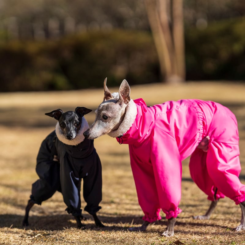 撥水＋シープフリースカバーオール | FEEL SO DOOG（フィール