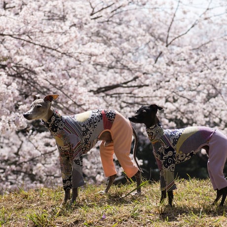 カバーオール華いかだ
