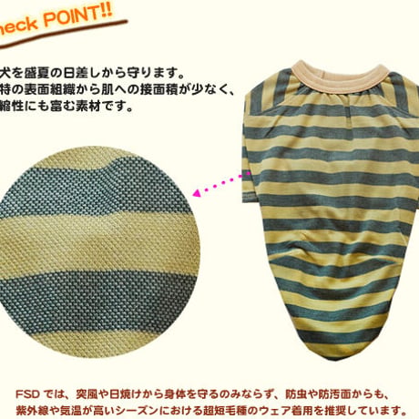 ボーダーＴシャツ