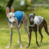 ウォータークールベスト・ドット