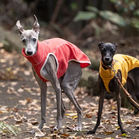 CATEGORY 厚手・ズボンなし | FEEL SO DOOG（フィール・ソー・ドッグ）