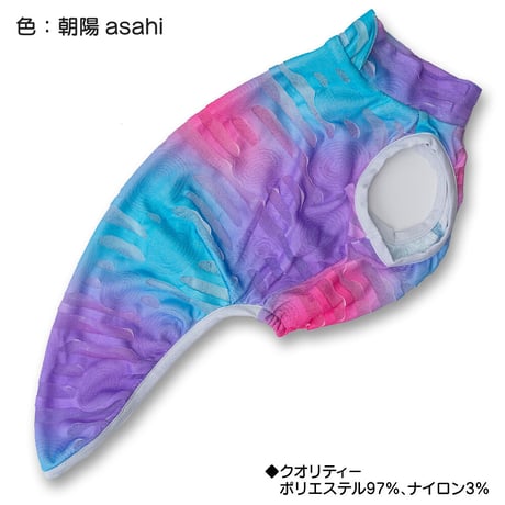 ポーラス・タンク