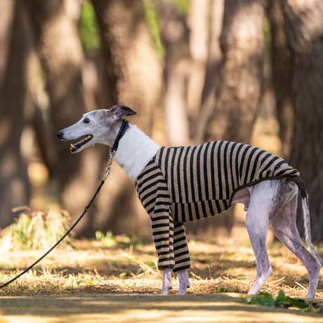 CATEGORY 厚手・ズボンなし | FEEL SO DOOG（フィール・ソー・ドッグ）