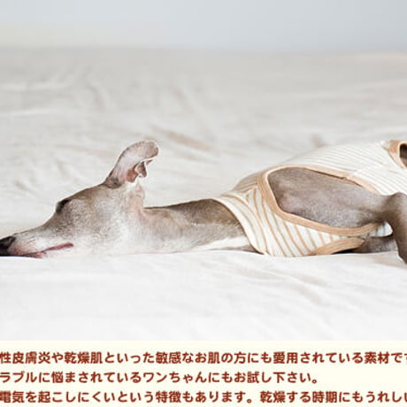 オーガニックコットン・パジャマ