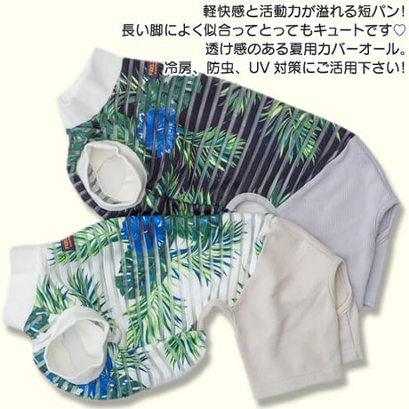 チックブラインド・コンビネゾン