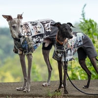 ファッションストリート