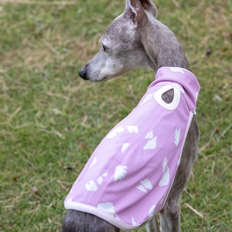 ウォータークールベスト・ベア