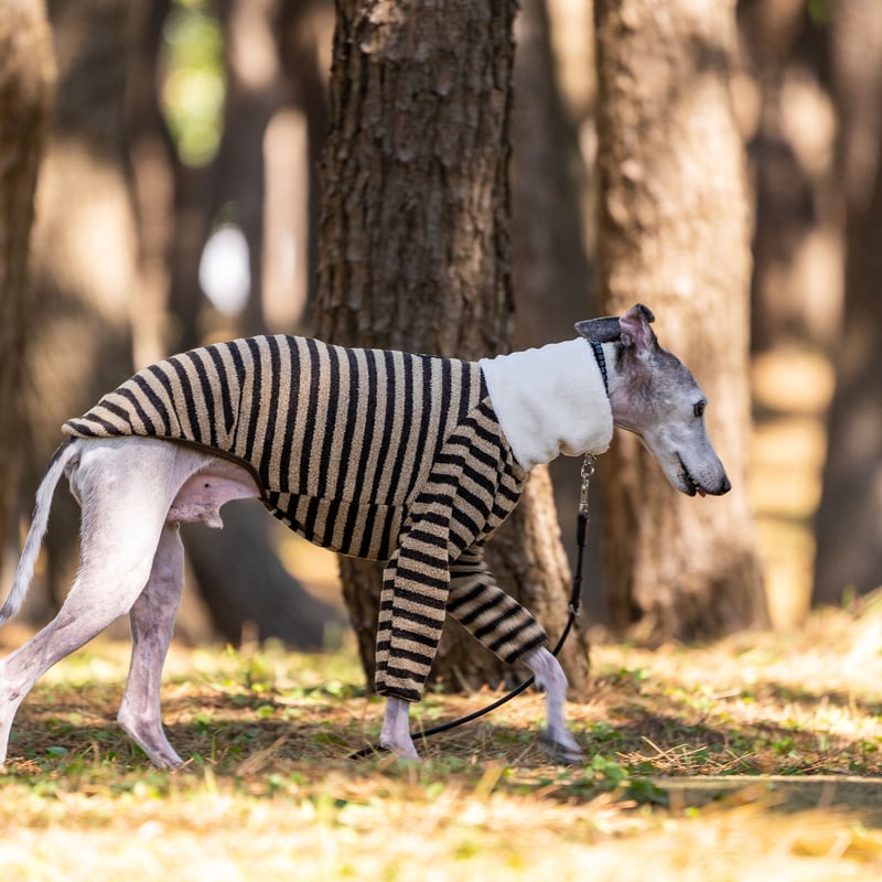 パイルボーダー（細）プルオーバー | FEEL SO DOOG（フィール