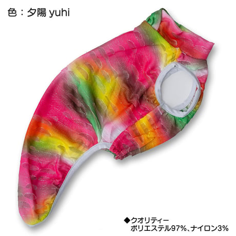 ポーラス・タンク