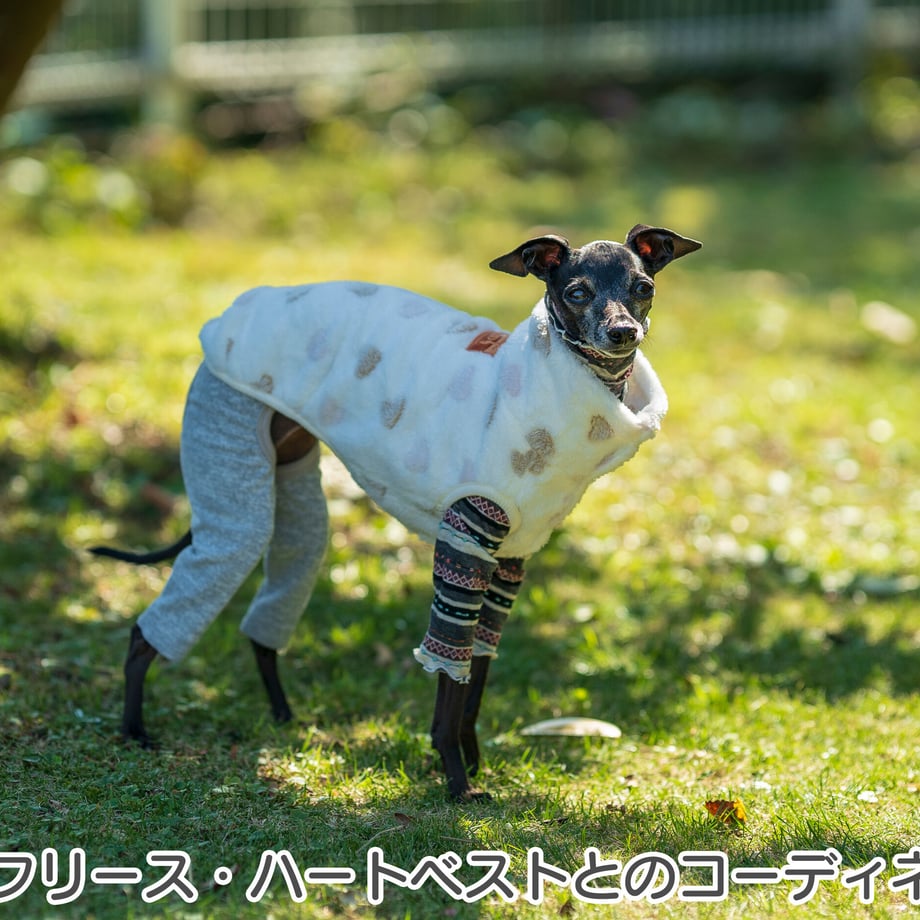 63293f8823c2aa736ecec0a8