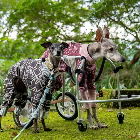 CATEGORY 03K | FEEL SO DOOG（フィール・ソー・ドッグ）