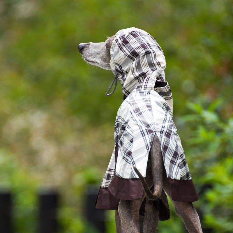 ピムリコ　イタグレポンチョ　ＩＭ 送料込】イタグレ服 ブリーチデニムのポンチョコート IS・IM・IL