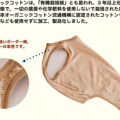 オーガニックコットン・ボーダータンク