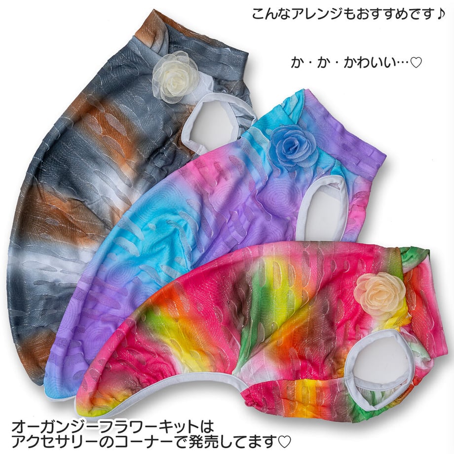 63030b712fc8810d4f179f2c