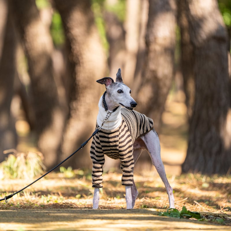 パイルボーダー（細）プルオーバー | FEEL SO DOOG（フィール・ソー