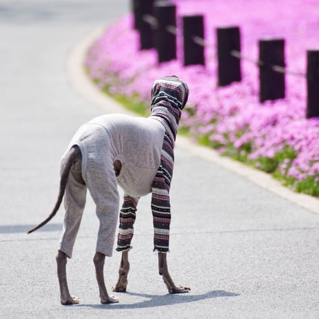 フラジェネカバーオール