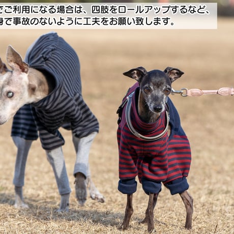 ウォームボーダーカバーオール