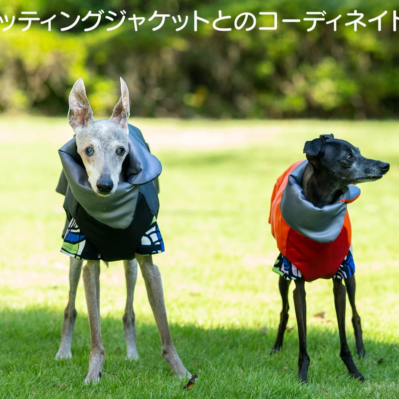 レトロパターン | FEEL SO DOOG（フィール・ソー・ドッグ）
