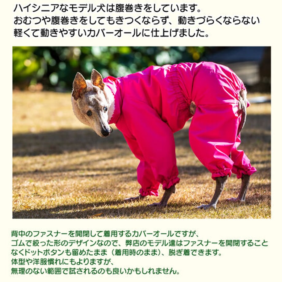 6326b16e852d444af6595e0d