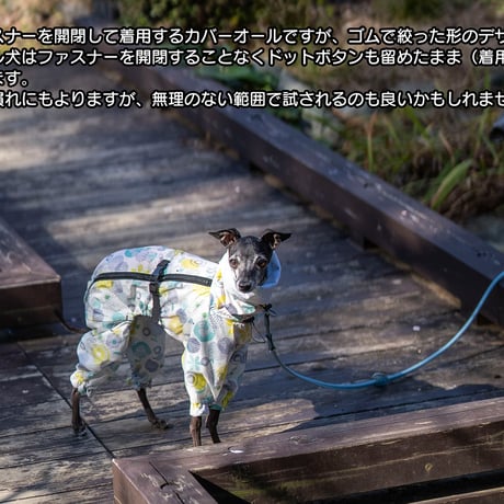 微撥水ナイロンタフタ・カバーオール