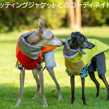 レトロパターン