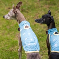 ウォータークールベスト・スター